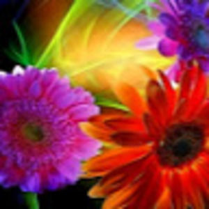 Meet your Posher, Susanna